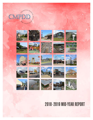 2018-2019 Mid-Year Report